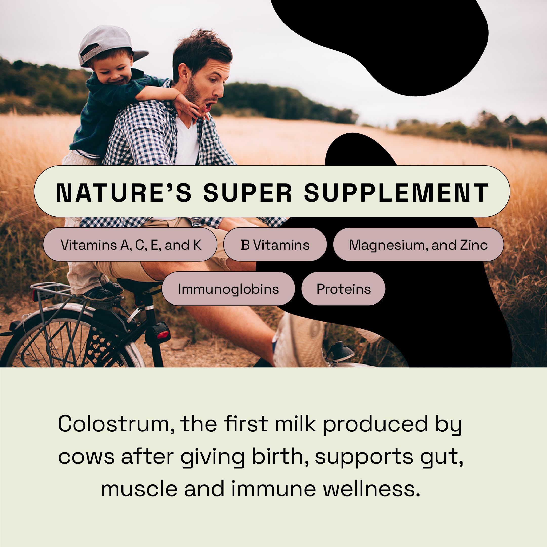 MOOVE Colostrum Powder from grass-fed Dutch cows in green pasture