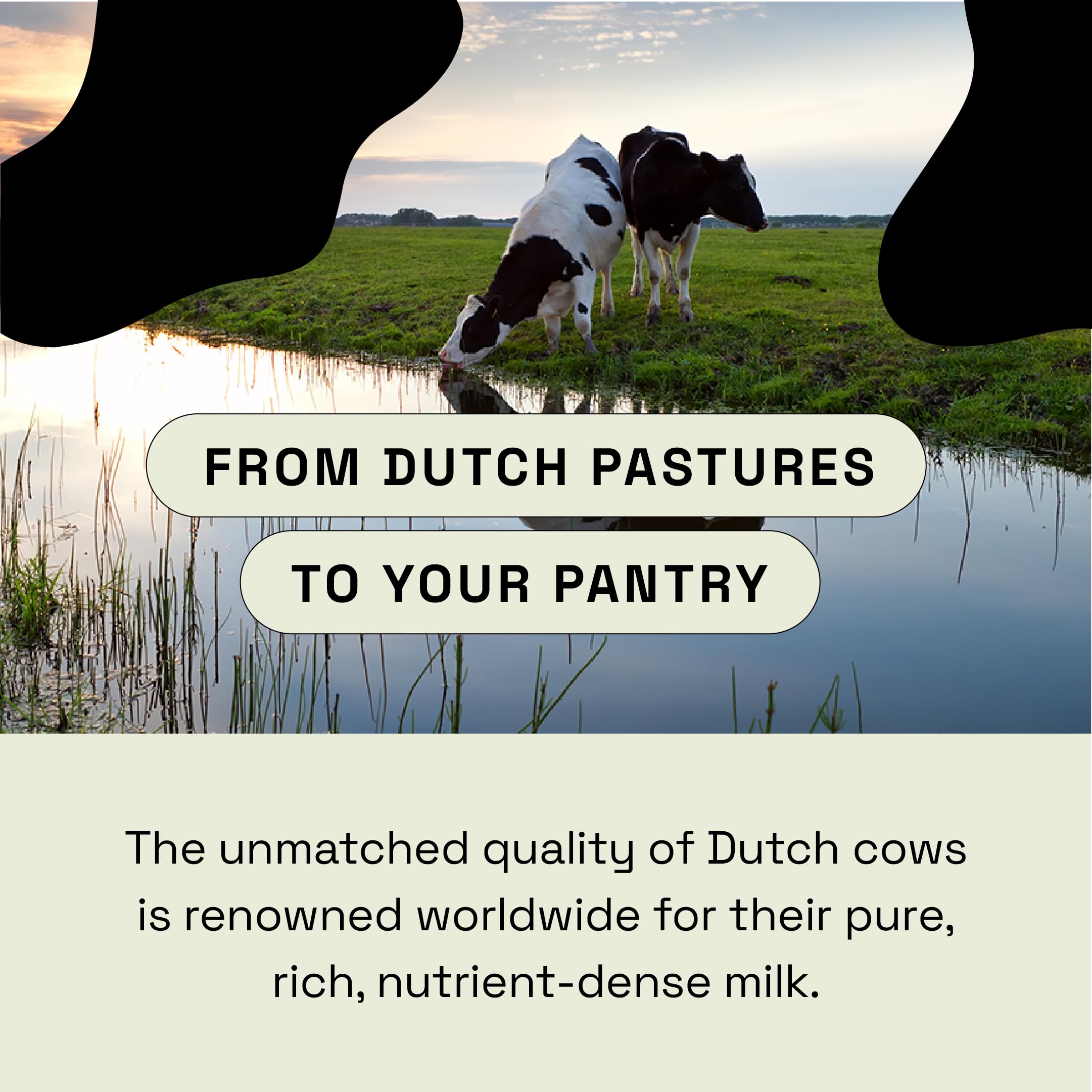 MOOVE gut-friendly colostrum supports microbiome balance in your routine.