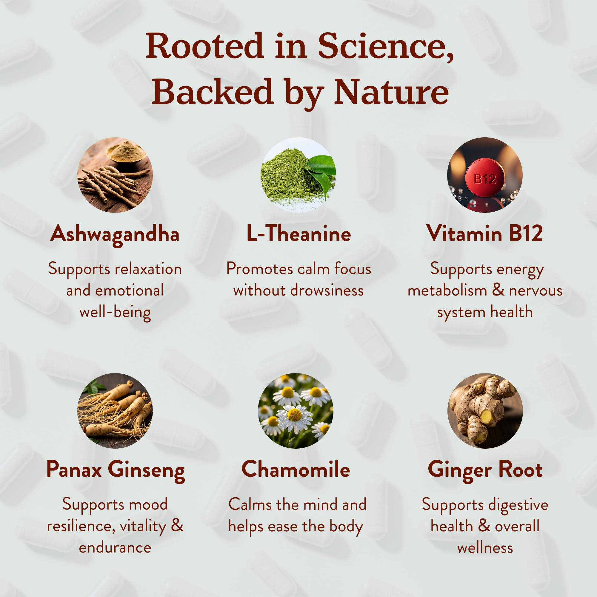Ingredients panel of More Chill Pill showing adaptogens and B vitamins.