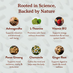 Ingredients panel of More Chill Pill showing adaptogens and B vitamins.
