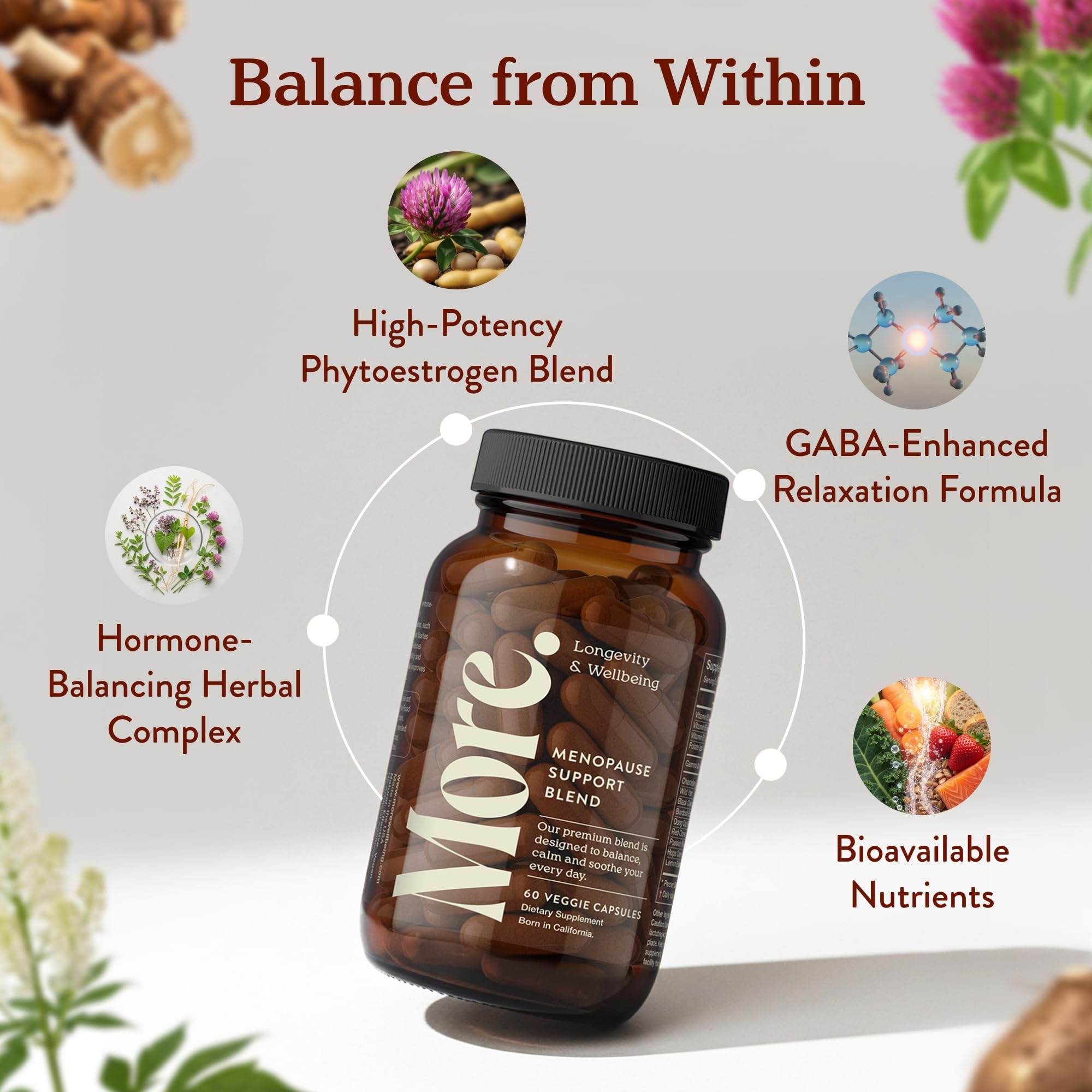 More. Longevity & Wellbeing natural blend close-up with plant extracts
