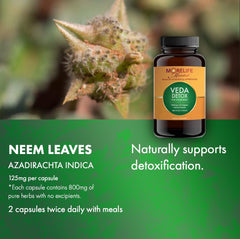 MoreLife Market Veda Detox capsule close-up highlighting 800 mg potency for detox routines.