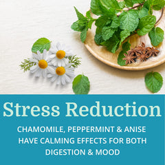 Morter Alka-Pan detox blend hints at liver support.