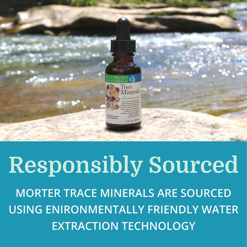 Organic plant sources label on Morter drops emphasizing organic sourcing.