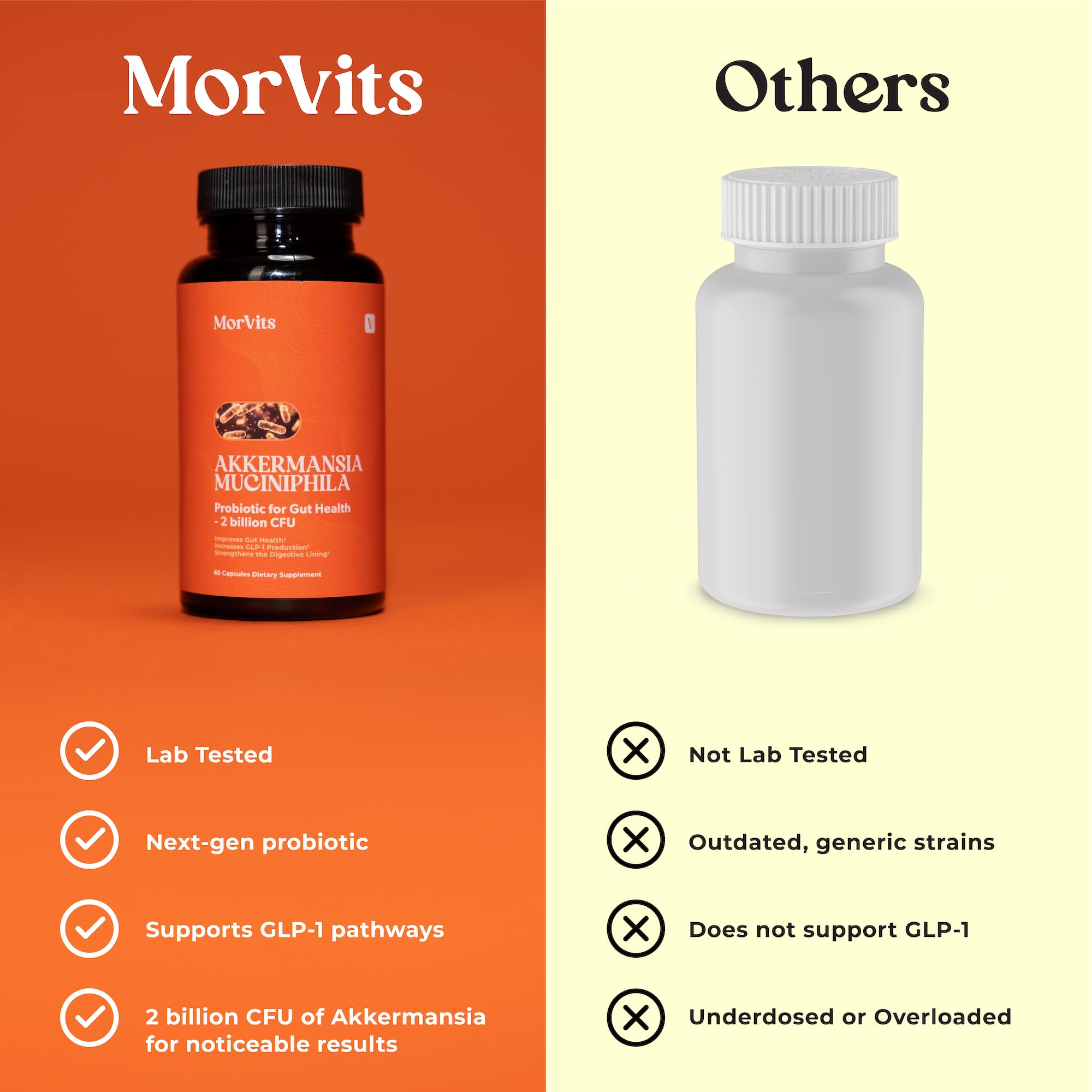 Morvits Akkermansia probiotic with chicory inulin prebiotic fiber.