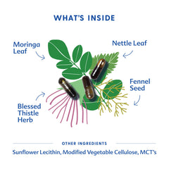 Motherlove More Milk Moringa capsules in hand show dosing flexibility.