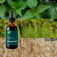 Mountain Meadow Herbs Herbal Calcium family-dosage image emphasizes dosages for all ages.