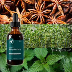 Mountain Meadow Herbs respiratory extract supporting easy airways.