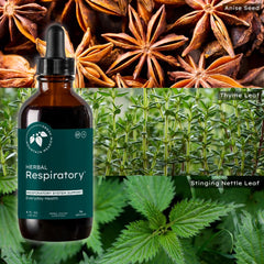 Family scene with Mountain Meadow Herbs Respiratory on a kitchen table.