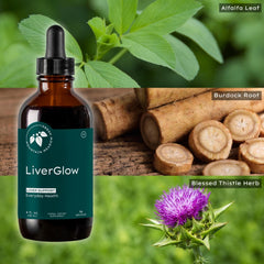 Mountain Meadow Liver Glow dandelion root closeup highlighting detox support.