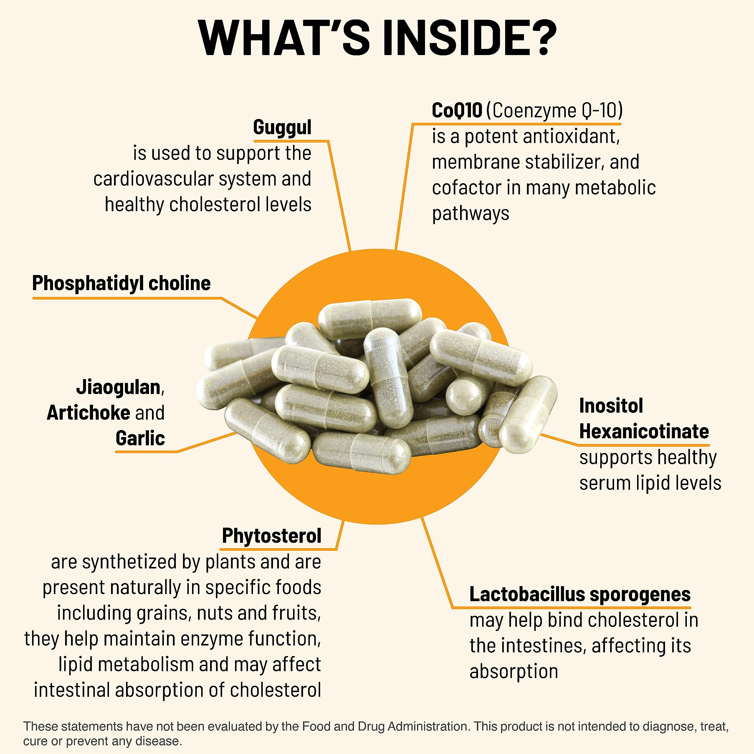 Mountain Peak Nutritionals CoQ10 capsule closeup, highlighting antioxidant support potential.