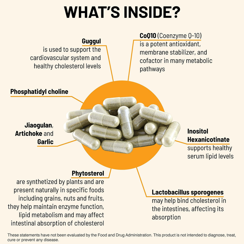 Mountain Peak Nutritionals CoQ10 capsule closeup, highlighting antioxidant support potential.