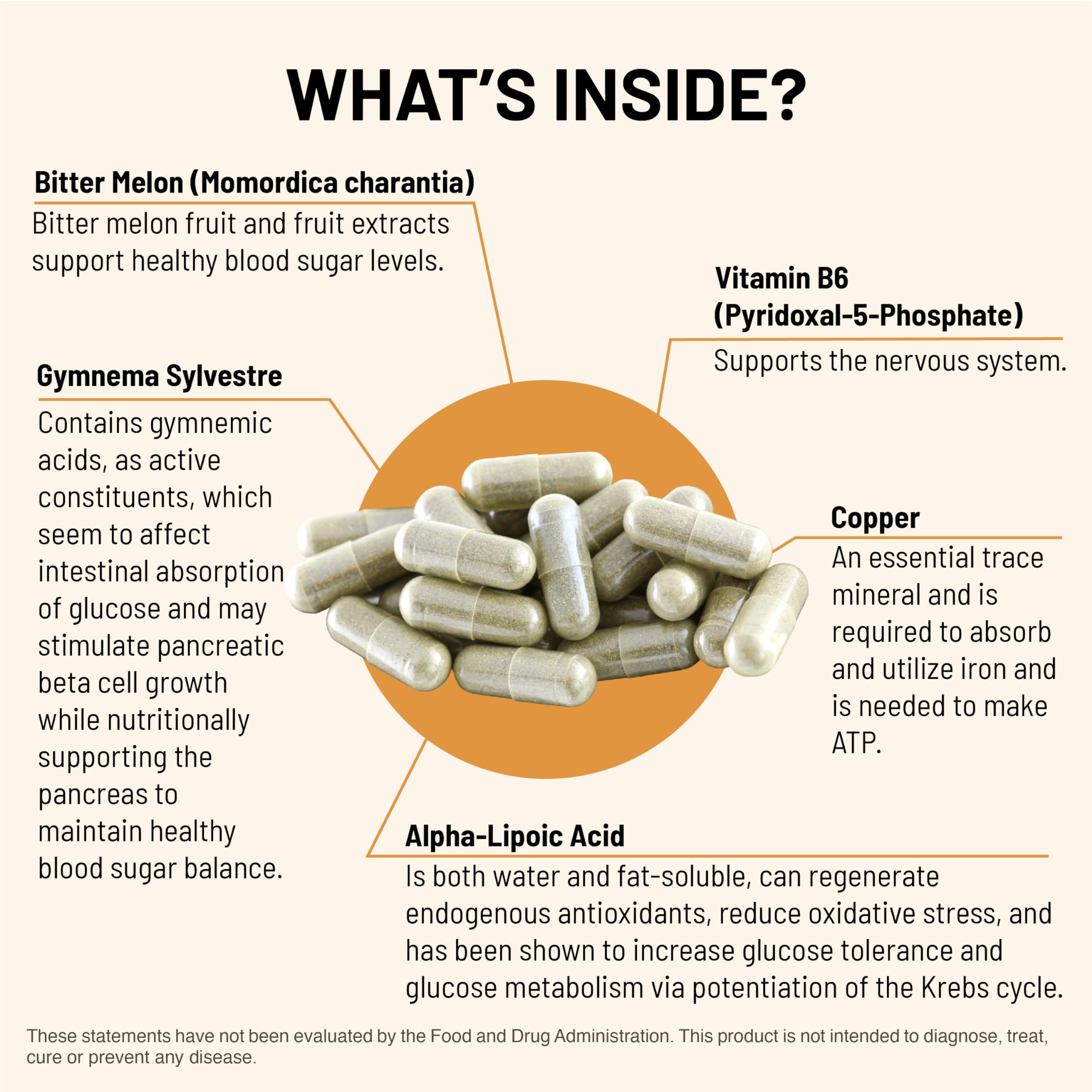 Glycemic Formula label emphasizing vegan hypoallergenic formula.