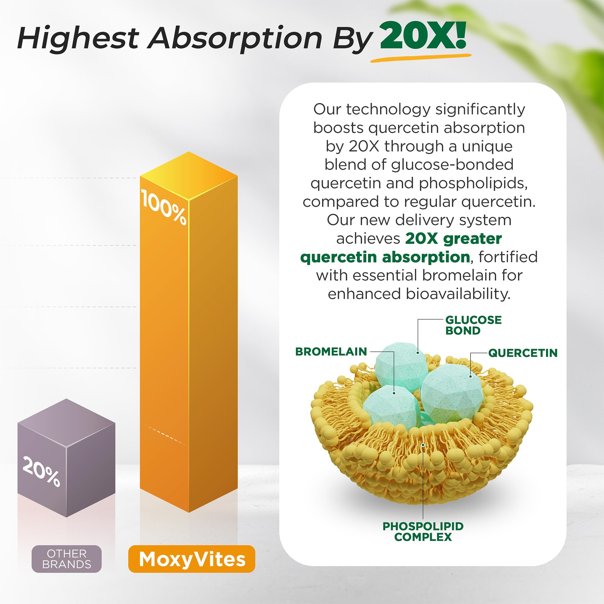 Lifestyle shot of MoxyVites Quercetin on a kitchen counter for daily wellness.