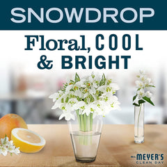 Gift-ready packaging of Mrs Meyer's Snow Drop signals thoughtful gifting
