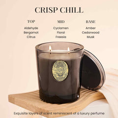 MSENSE 19-8-oz candle vessel detail highlighting durable reusable container.