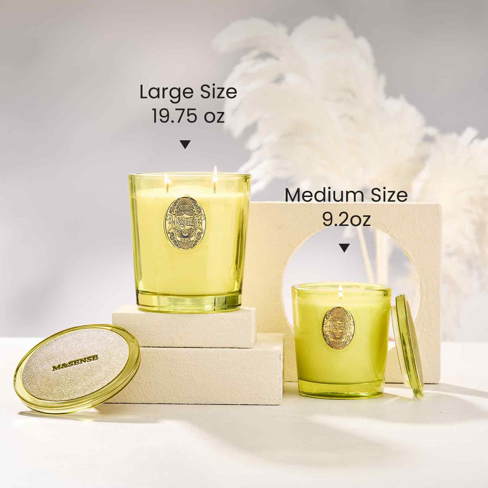 MSENSE gift-ready candle ideal for birthdays or holidays.