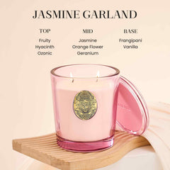 MSENSE jasmine pink candle creating cozy living room ambiance