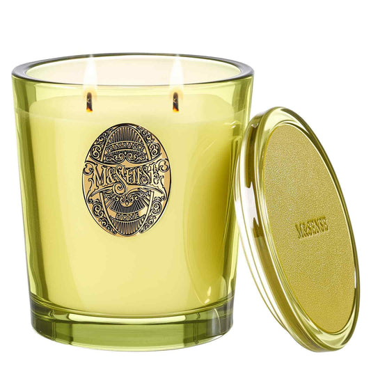 MSENSE Seattle Rainforest two-wick candle delivers long-lasting aroma in the living room.