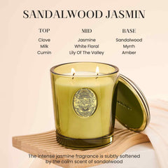Msense sandalwood jasmine-green aroma fills a living room during gatherings