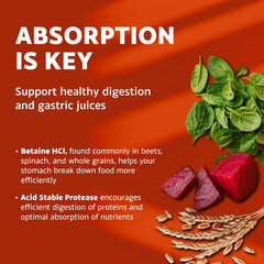 Mt. Angel Vitamins HCl Betaine ingredients panel highlights enzyme blend for digestion support.