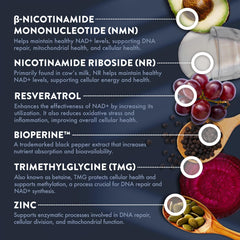 Mt. Angel NMN NR bottle featuring resveratrol and TMG ingredients