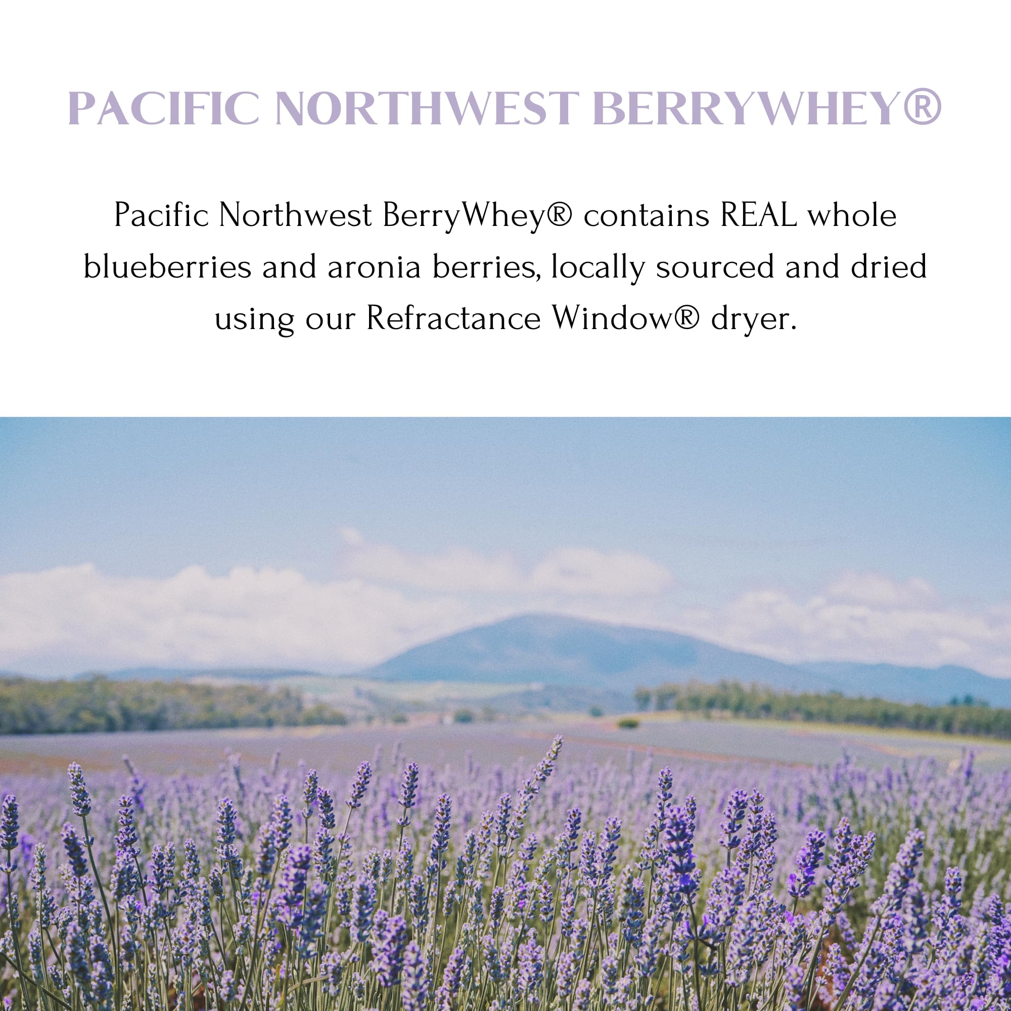 Mt. Capra BerryWhey shake prepared for quick on-the-go fueling.