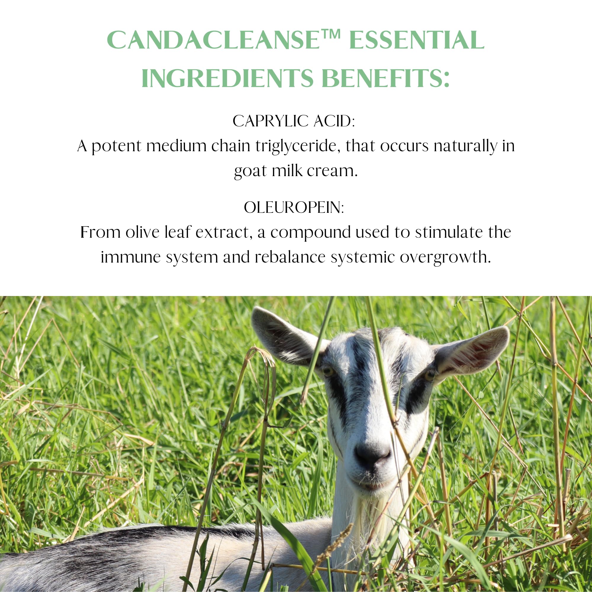 Mt. Capra CandaCleanse enzyme blend image highlights cellulase and protease support