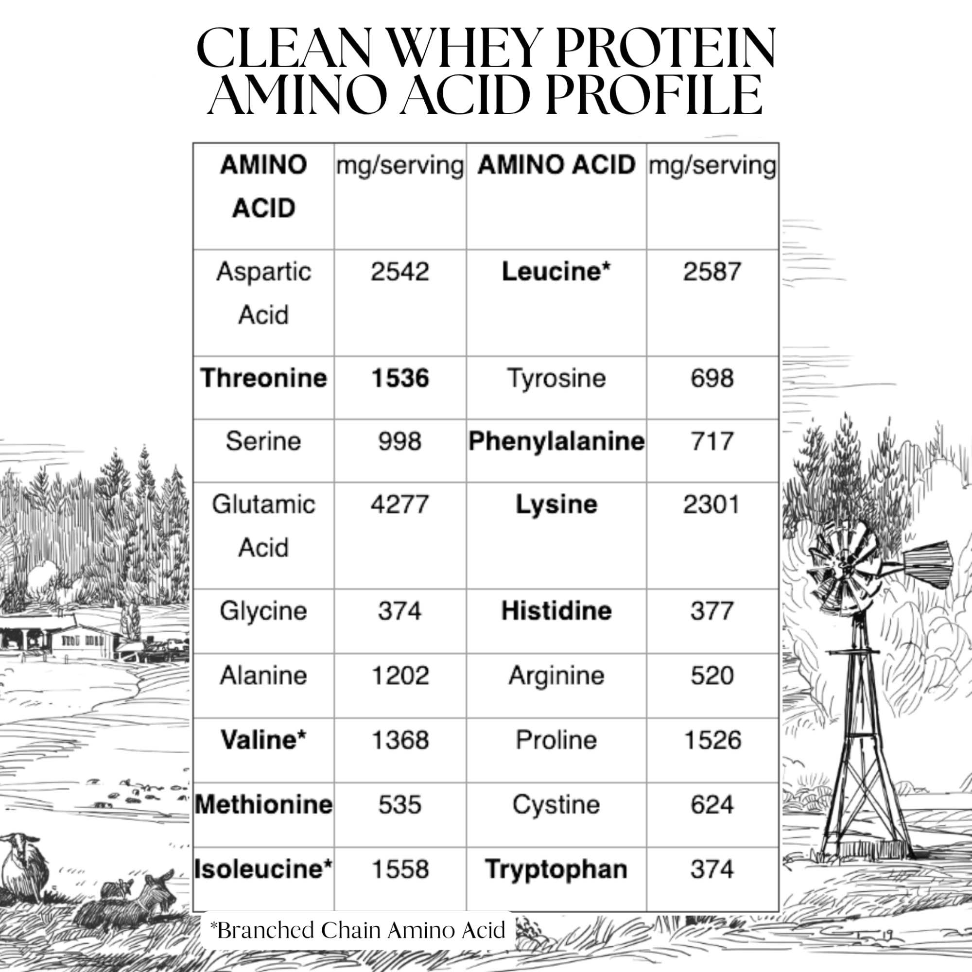 Mt. Capra Clean Whey Protein chocolate in shaker for smooth post-workout shakes.
