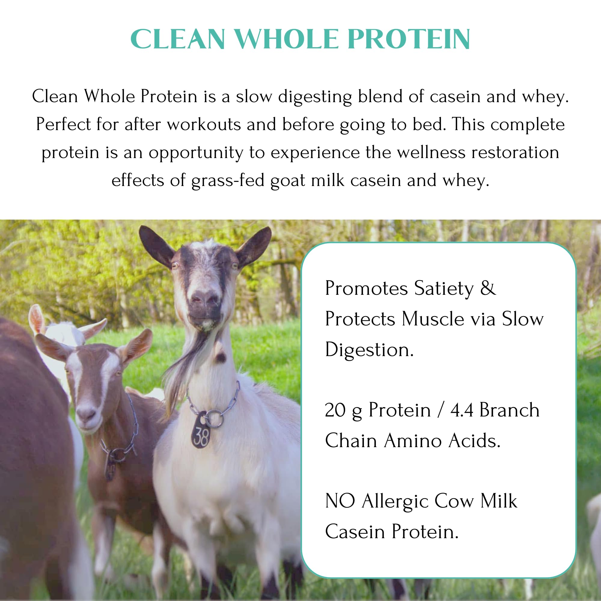 Mt Capra Clean Whole Protein goat milk powder close-up emphasizes goat origin and A2 profile.
