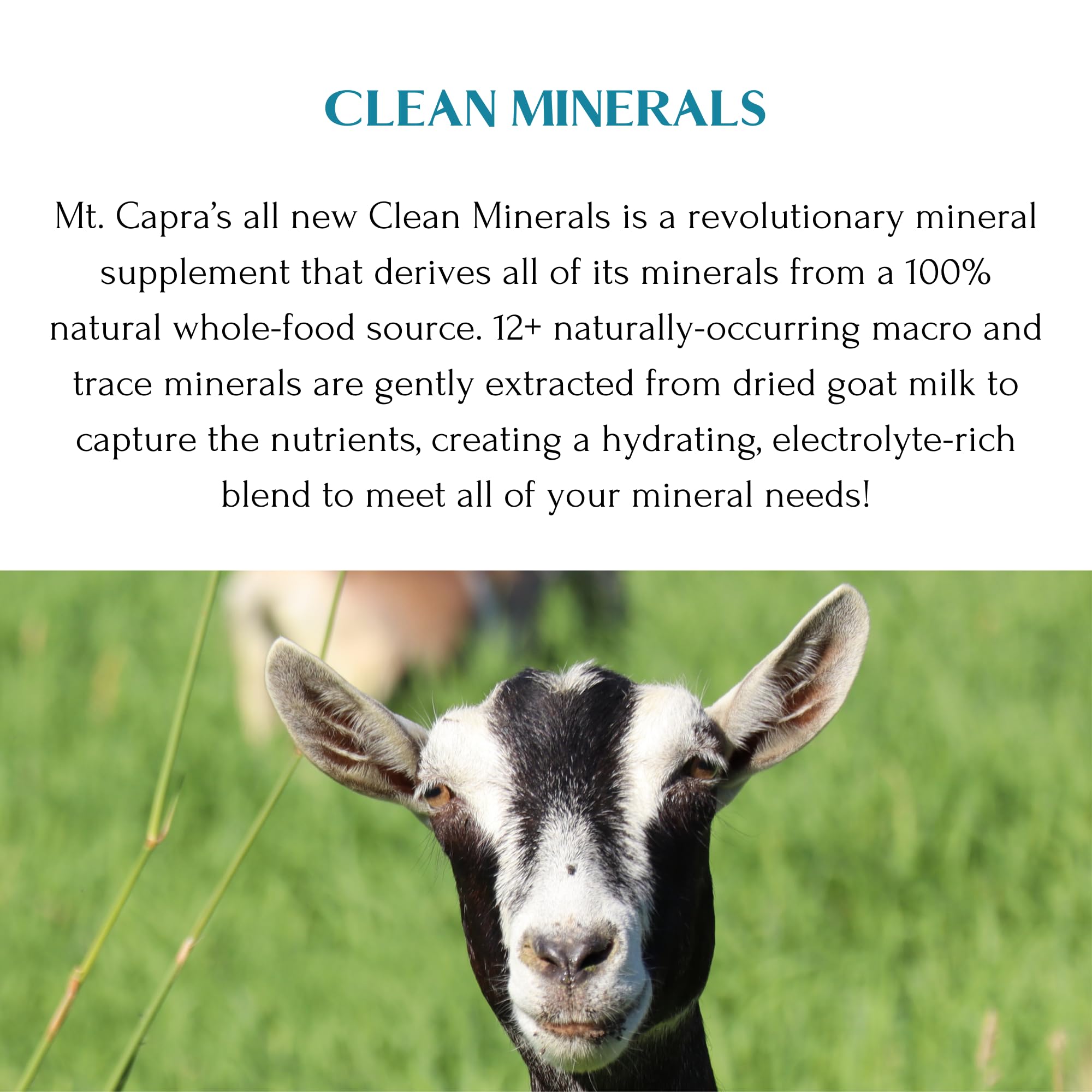 Grass-fed goat whey source for Mt Capra Clean Minerals