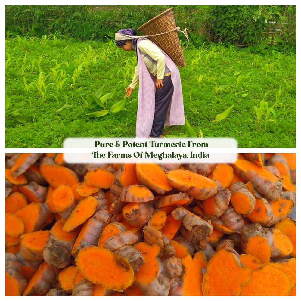 Mt. Meru Meghalaya Lakadong farm origin graphic conveys traceability and premium turmeric.
