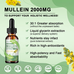 Mulittea Mullein Drops being poured into a glass for easy daily use.