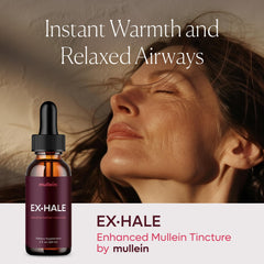 Close-up of the Mullein Exhale Drops bottle cap.