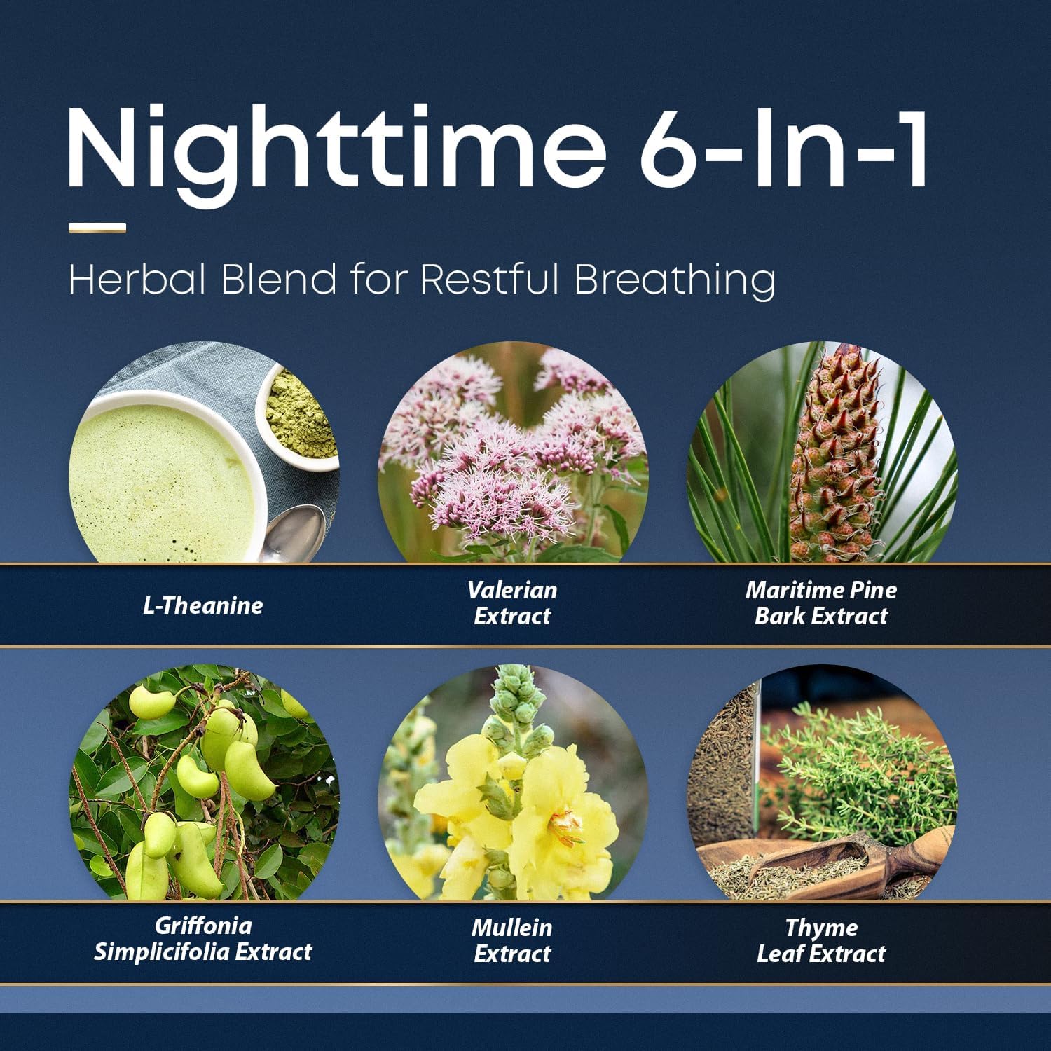 Herbal Tea Therapy mullein leaf BREATHE PM capsules suggest nighttime lung detox