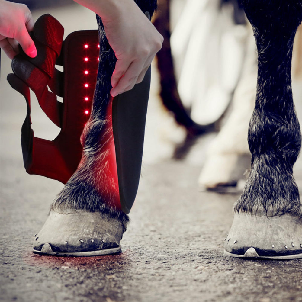 MUMAIS boot in stable use for barn-friendly sessions