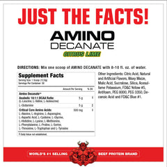 MuscleMeds Amino Decanate powder scoop measuring 5 g portions for serving