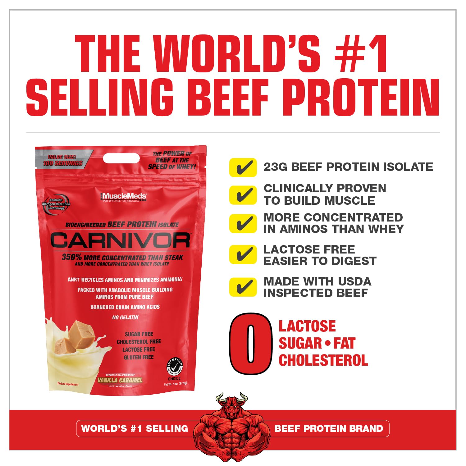 Carnivor beef protein scoop displaying powder texture for shakes