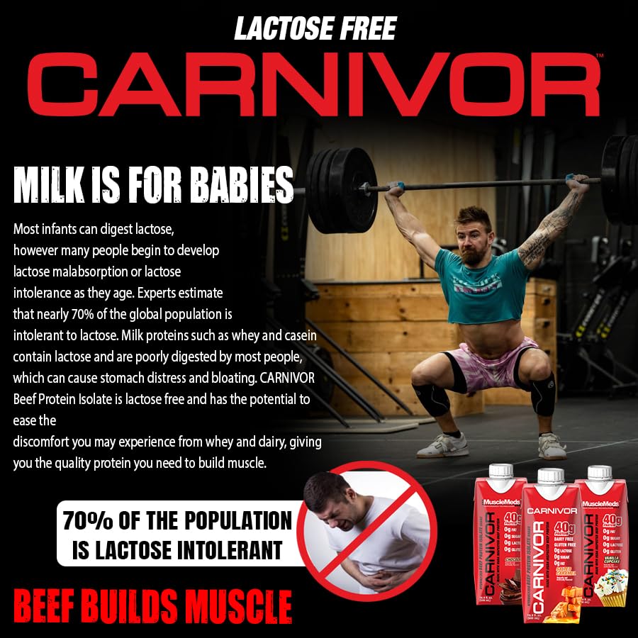Carnivor RTD glass shake ready for on-the-go consumption after workouts