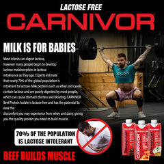 Close-up of hydrolyzed beef protein illustration from Carnivor RTD.