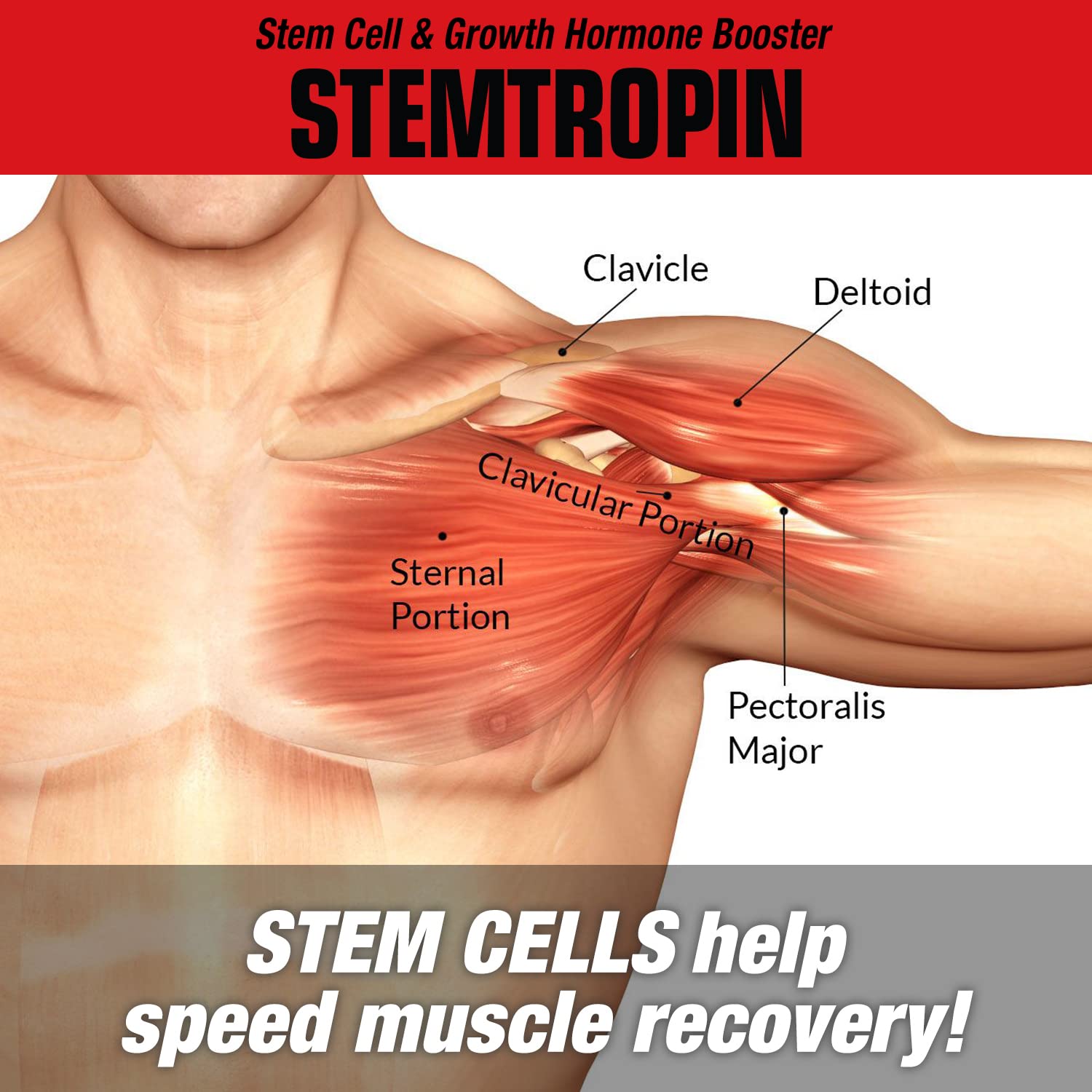 MuscleMeds STEMTROPIN nighttime usage setup indicating overnight growth factor support.