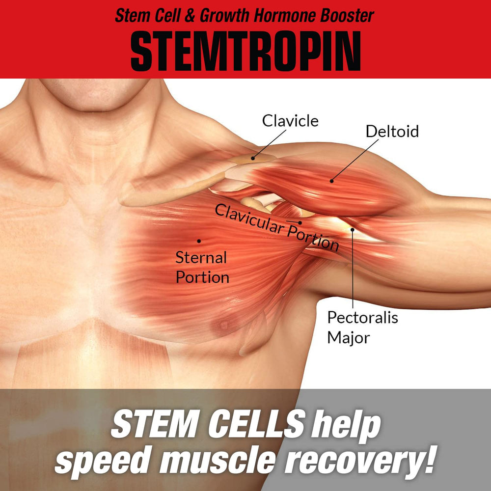 MuscleMeds STEMTROPIN nighttime usage setup indicating overnight growth factor support.