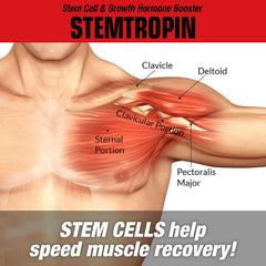 MuscleMeds STEMTROPIN nighttime usage setup indicating overnight growth factor support.