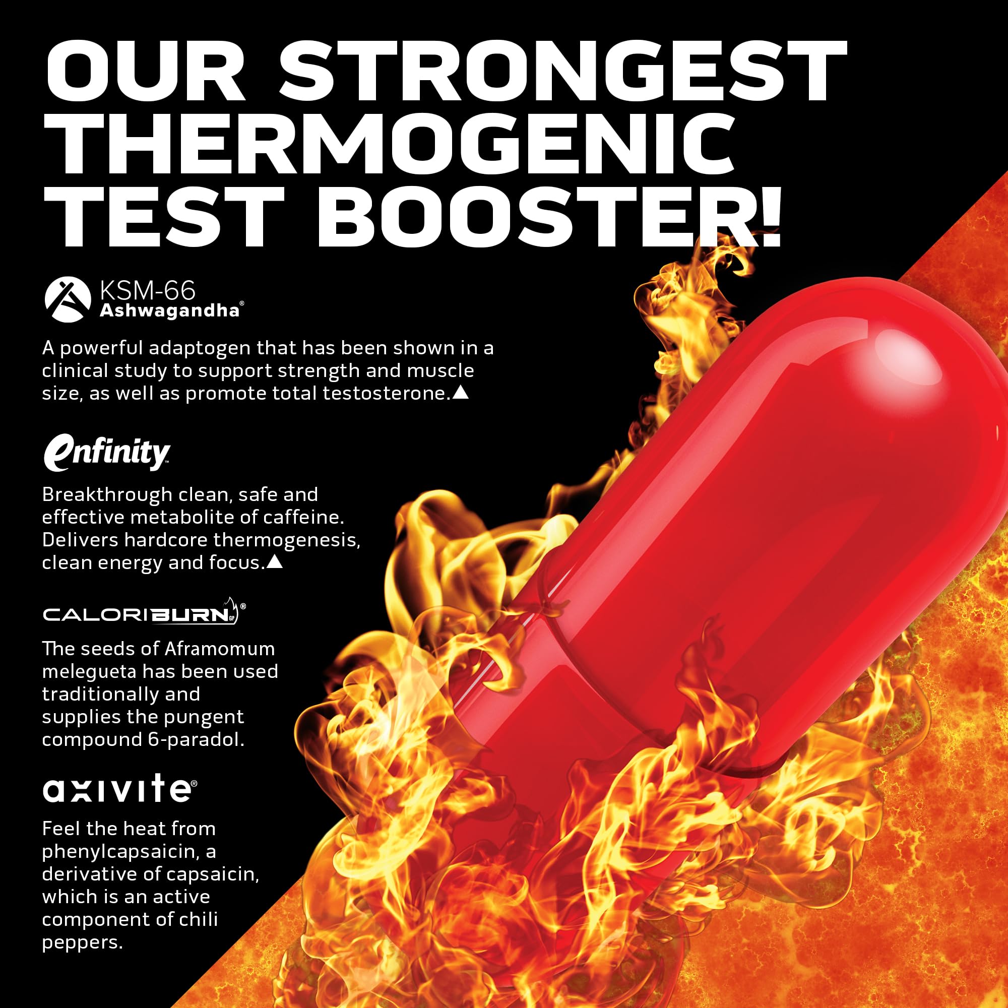AlphaTest Thermo XTR on a pre-workout setup suggesting training energy