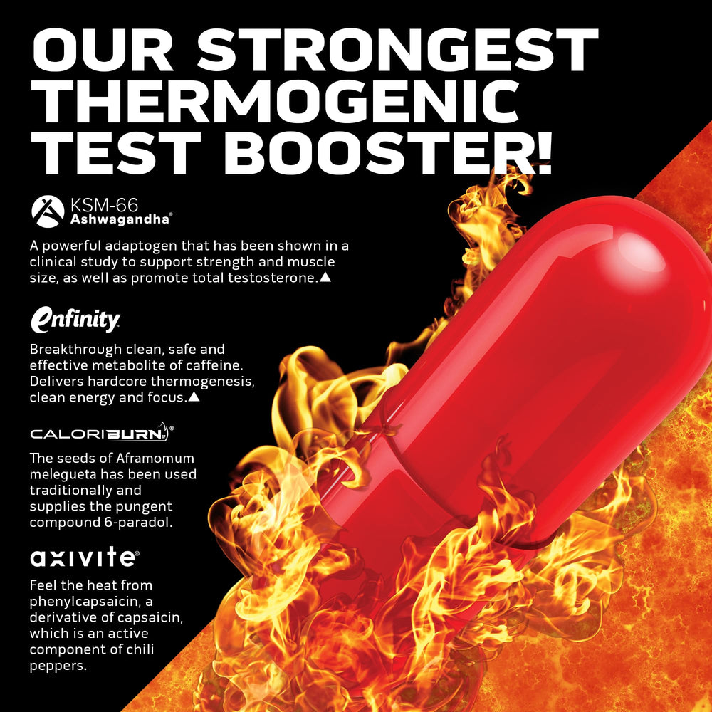 AlphaTest Thermo XTR on a pre-workout setup suggesting training energy