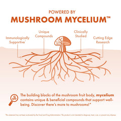 Host Defense mushroom mycelium grown on organic brown rice substrate.