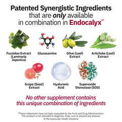 MYBODYRX Endocalyx daily-dosing visual showing two capsules daily intake