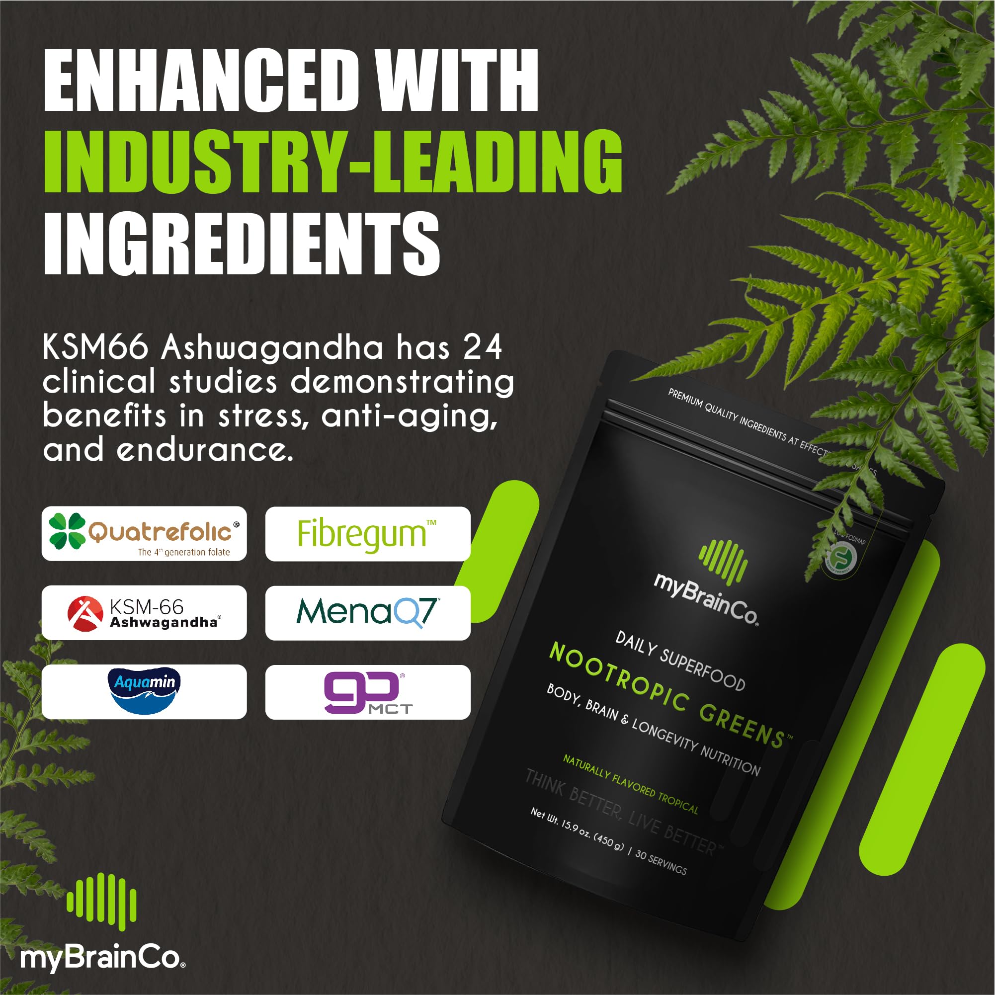myBrainCo Nootropic Greens powder poured into a glass for quick energy.