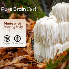 MYCL Lions Mane Gummies texture and chewability for daily ritual