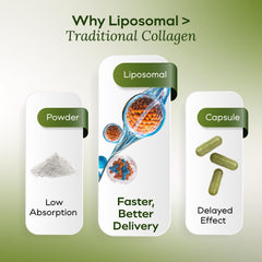 MYCL Liquid Collagen bamboo-extract-visual emphasizing silica-rich support for skin and nails